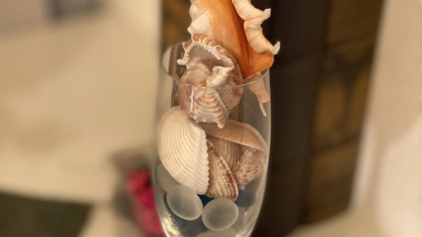 春になりました！